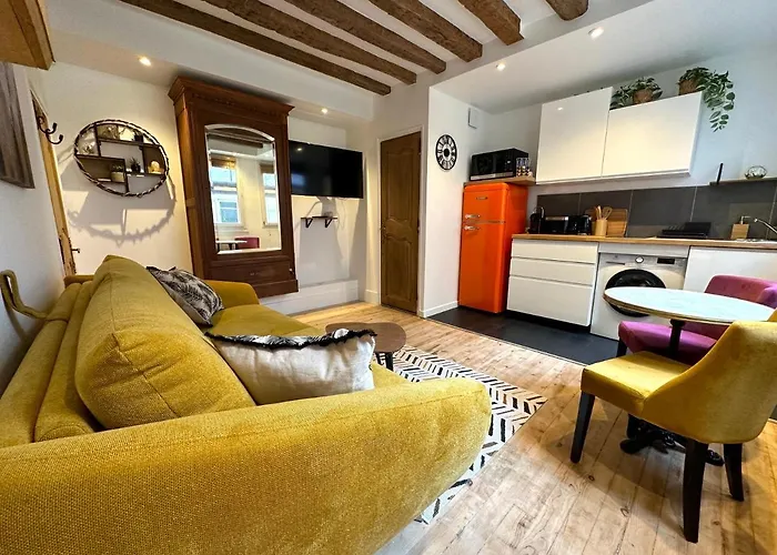 Mytripinparis - Fully Renovated Historical Apartman